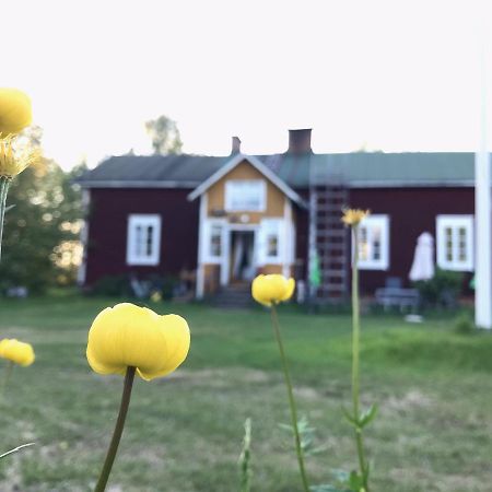 Paeivin Pirtti - Pirttikahvila Ja B&B ルオスト エクステリア 写真