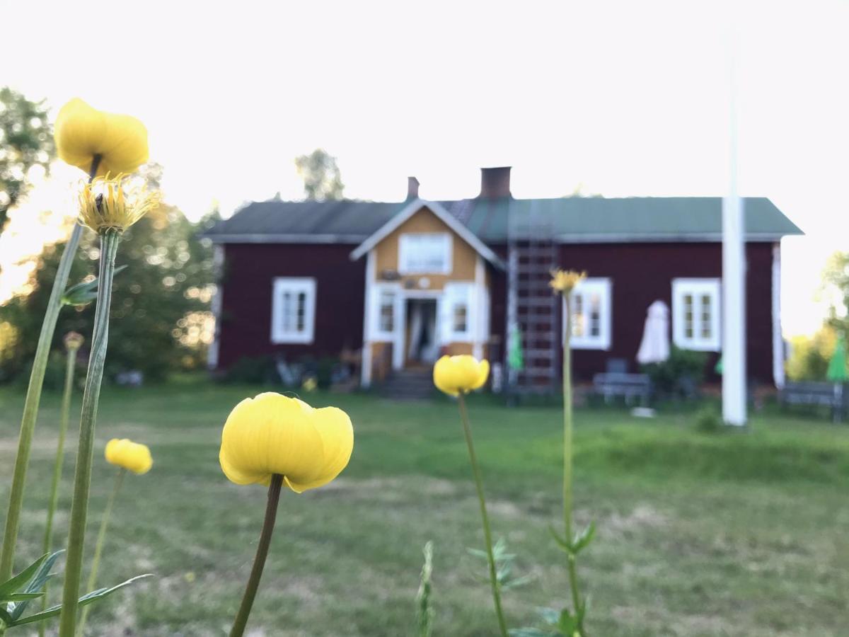 Paeivin Pirtti - Pirttikahvila Ja B&B ルオスト エクステリア 写真